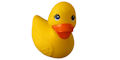 Rubber Duck