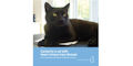 Cat Professional
