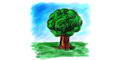 Rowan Trees
