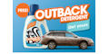 Subaru Outback Detergent