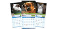 PetStock