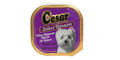 Cesar
