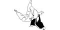 Aikido