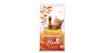 Friskies