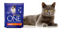 Purina