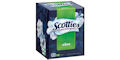 Scotties