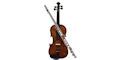 Australian Chamber Orchestra