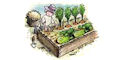 Growing Vegetables Guide