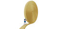 British Gas