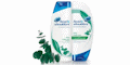 Head & Shoulders