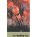 Teaching Kits from Canadian Forestry