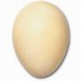 Eat Healthy Eat Eggs