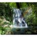 Nature Sounds