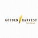 Golden Harvest
