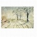 Butterfly Cards