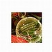Crystal Cathedral Christmas Ornament