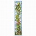 Canadian Baby Photographs Baby Growth Chart