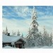 Lapland Sweepstakes