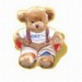 Rufus the Diabetes Children's Bear