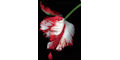 Twilight Bookmarks