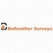 Bellwether Surveys