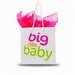 Big Into Baby Bag