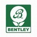 Bentley Wildflower Seeds