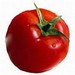 Tomato Bob