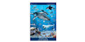 OCOL Posters