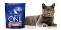 Purina One Adult