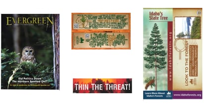 Idaho Forests