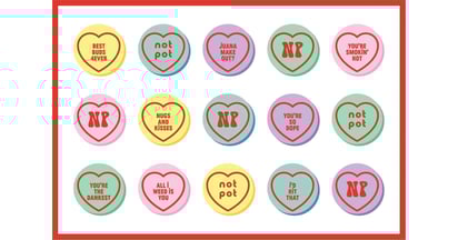 Not Pot Postcard