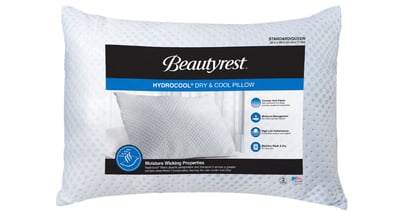 Beautyrest HydroCool Pillow at JCPenney