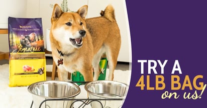 Zignature Free Dog Food