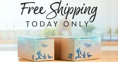 Free Shipping a Disney Store