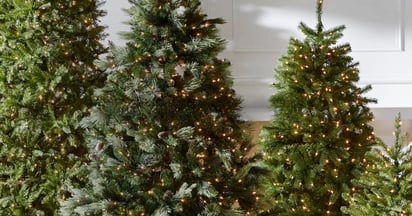 Christmas Trees at Macy's
