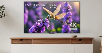 Insignia at Best Buy