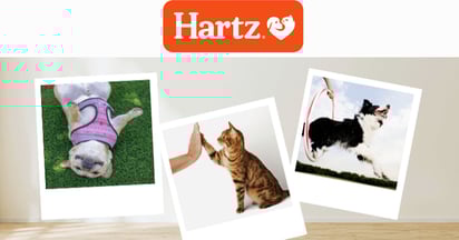 Hartz Ambassador
