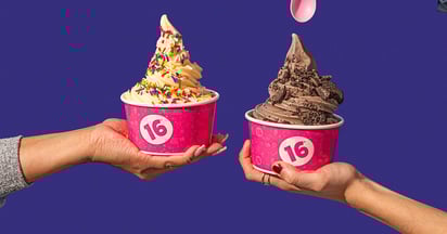 16 Handles National Froyo Day