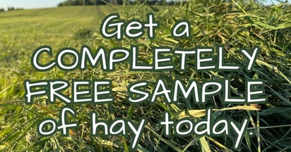 Farmer Dave Pet Supply Hay