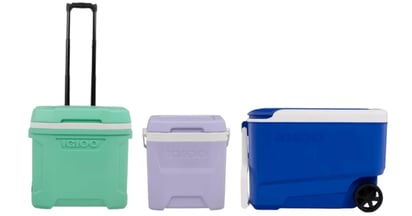 Igloo Coolers at Target