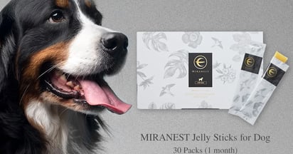 MIRANEST Jelly Sticks for Dogs