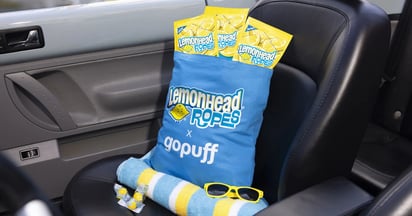 Lemonhead The Virtual Sunshine Stand