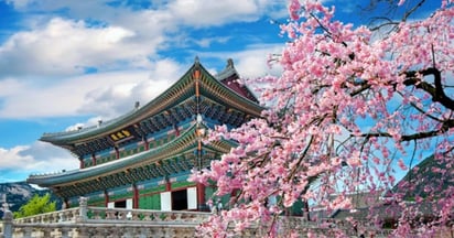 Korea Now “All You Imagine” Sweepstakes