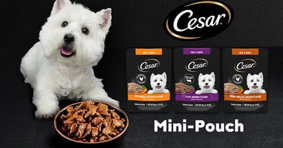 Cesar Dog Food mini pouch Free sample