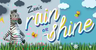 Zebra Pen Rain or Shine Sweepstakes