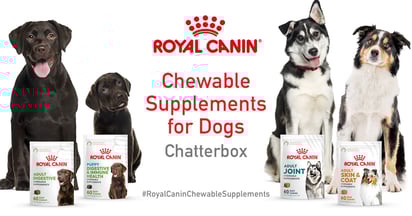 Ripple Street Royal Canin Chewable Supplements