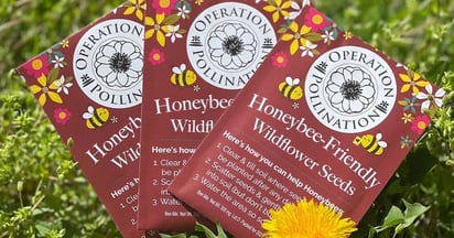 Operation Pollination Wildflower Seeds