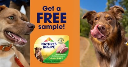 Social Nature's Recipe Wet Dog Food
