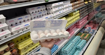 Cheapest Place to Buy Eggs